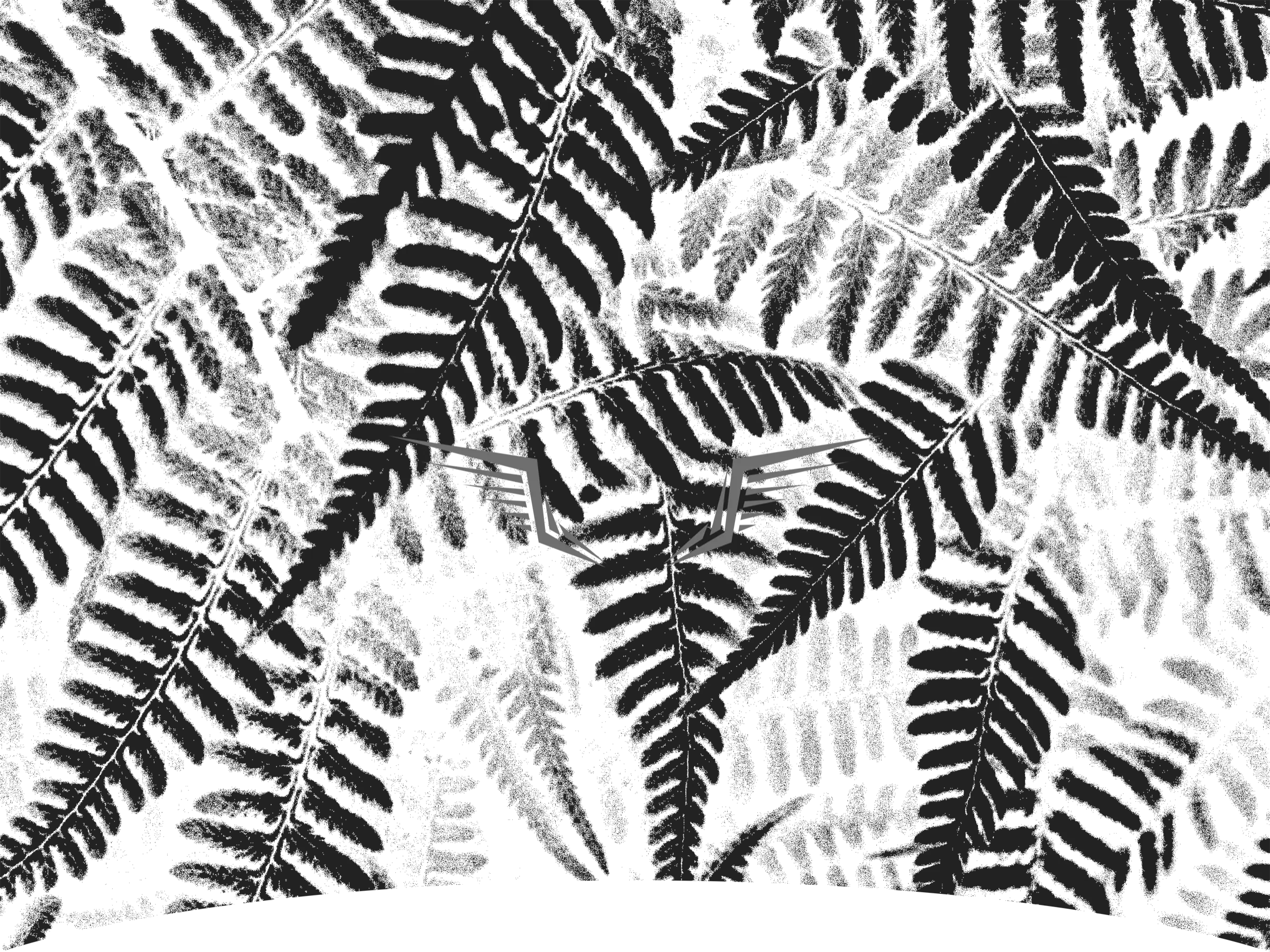 Wings and Ferns all-over print